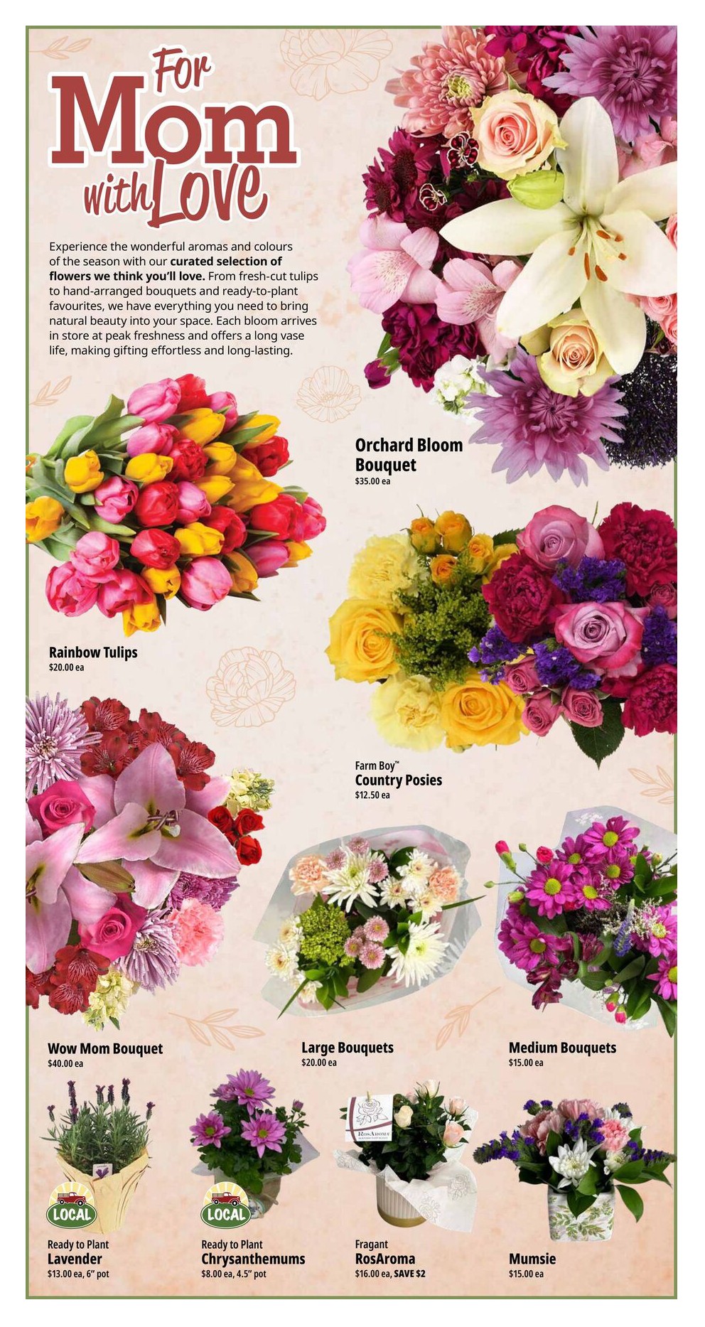 Flyer page 7