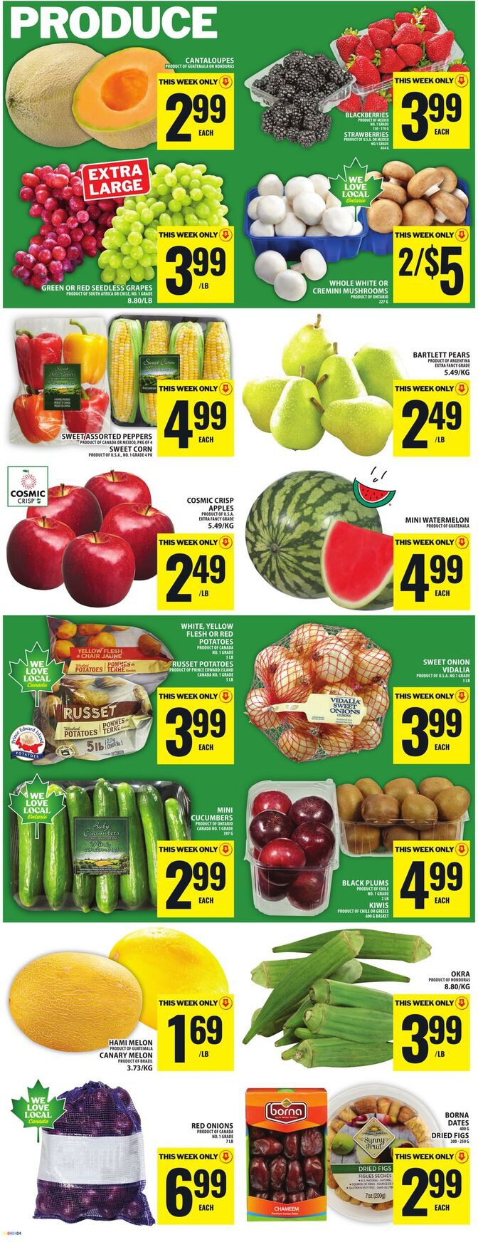 Flyer page 6