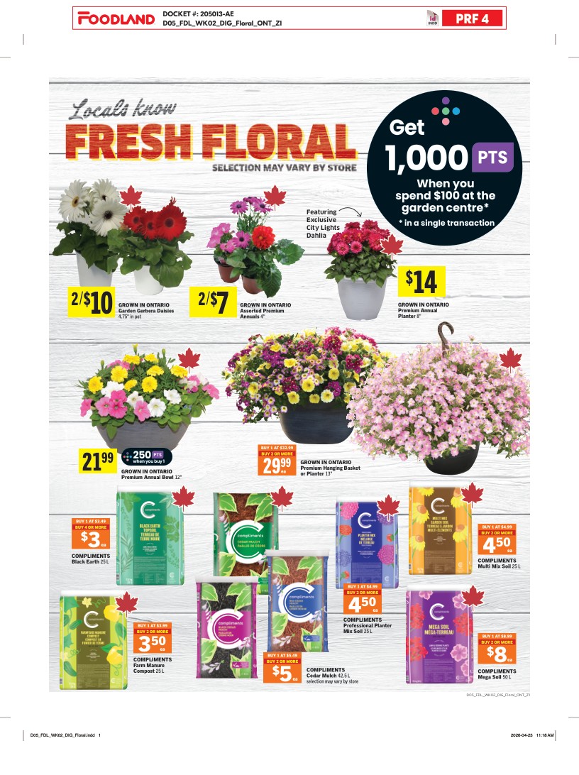 Flyer page 10