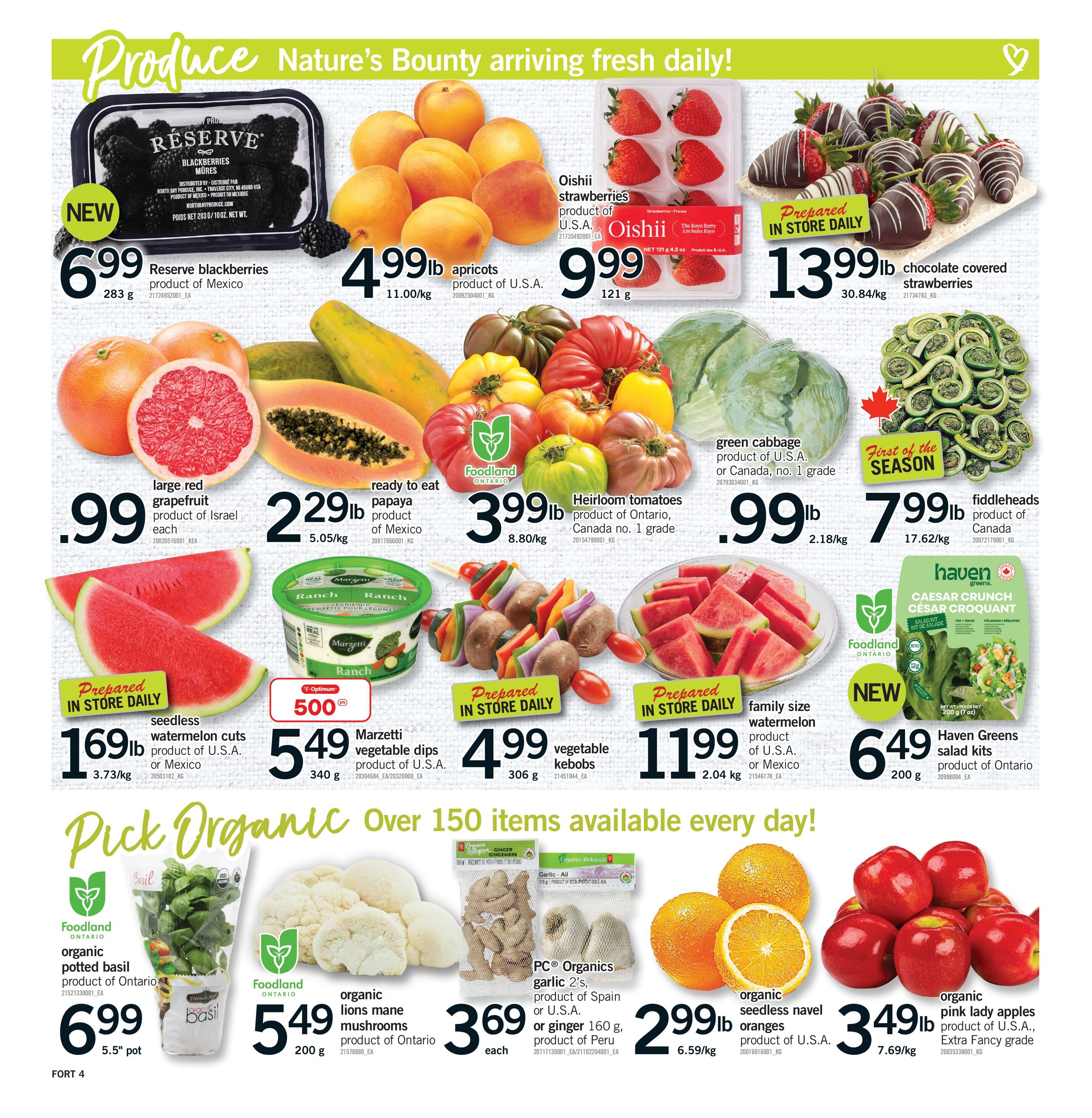 Flyer page 5