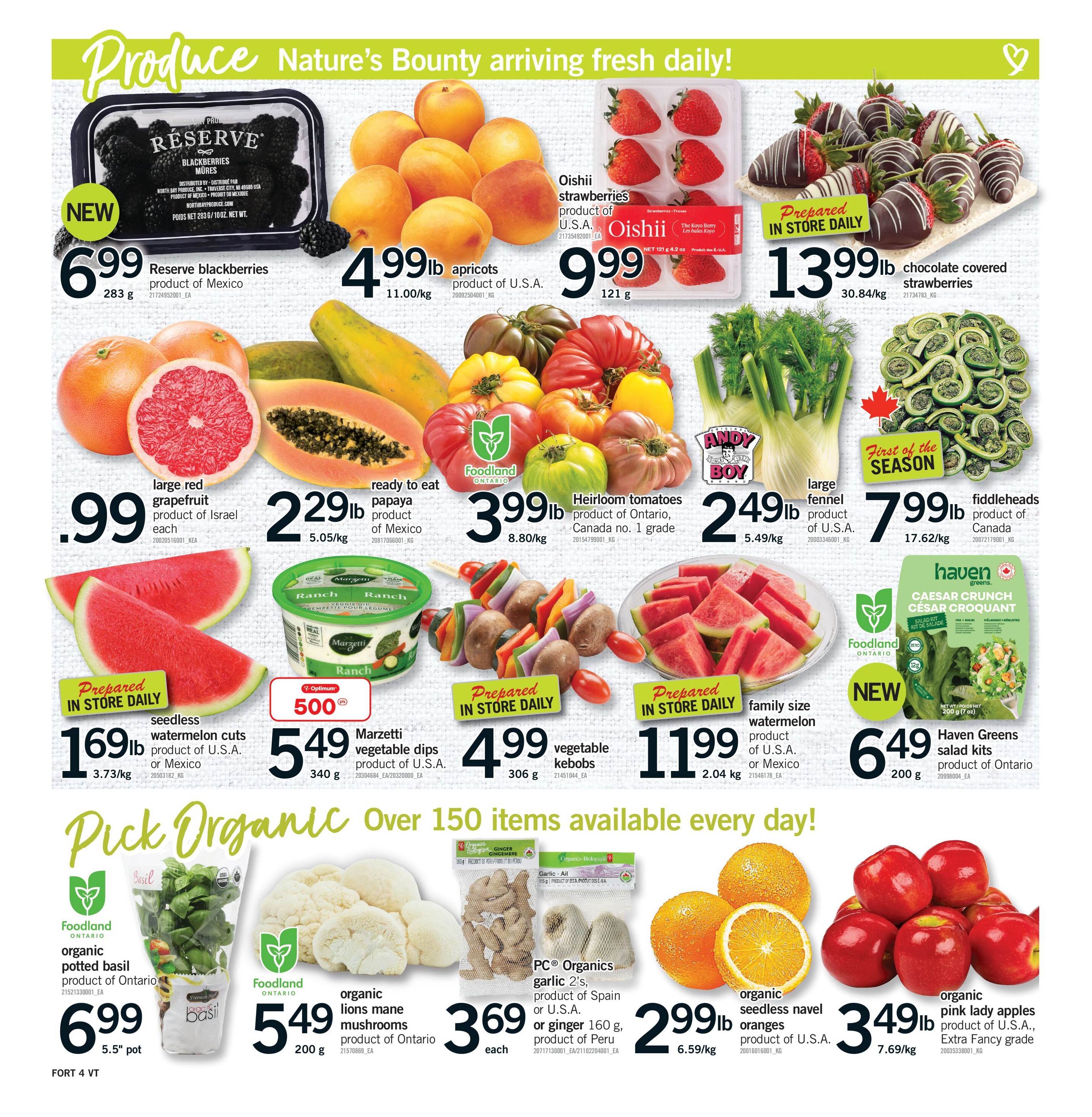 Flyer page 5