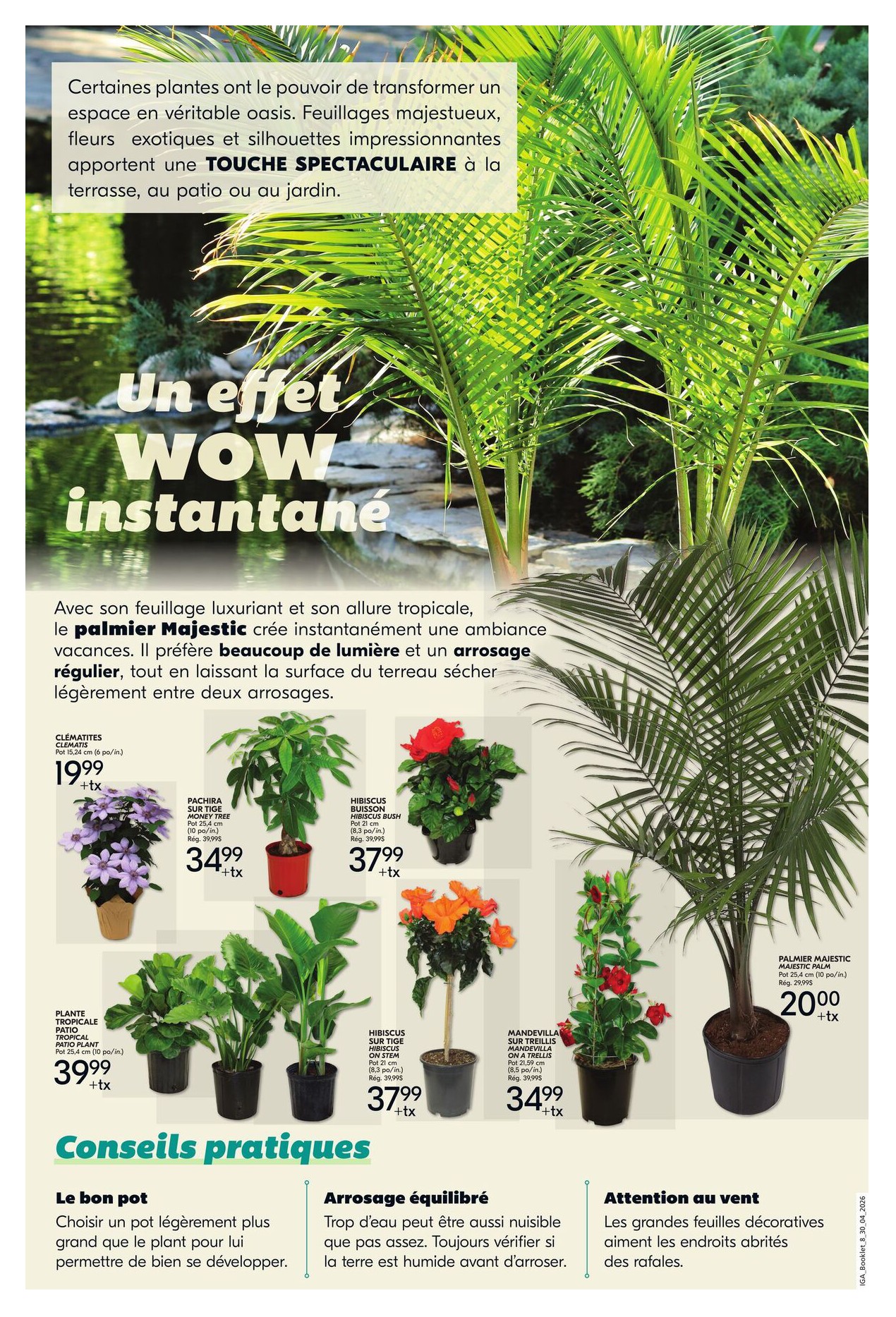 Flyer page 4