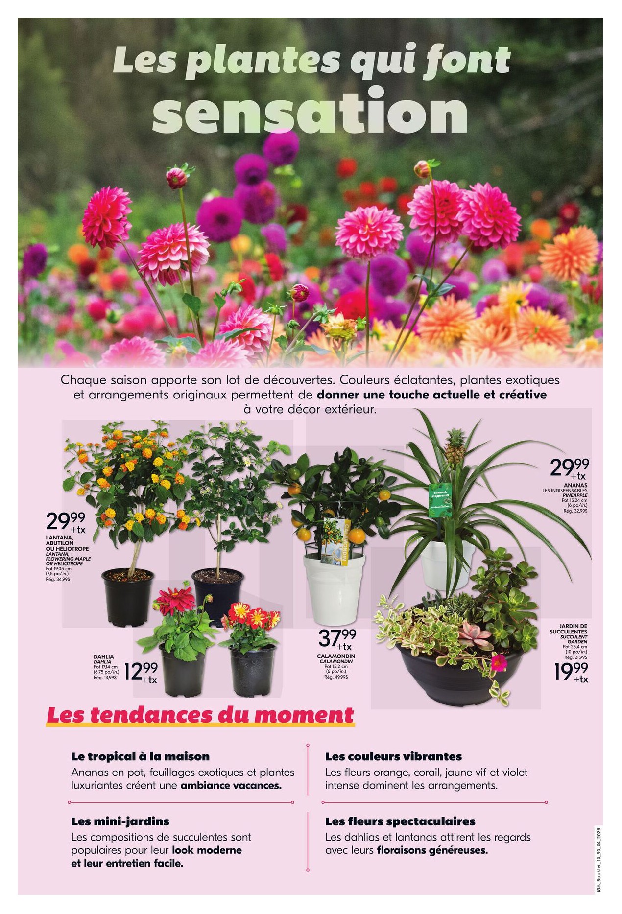 Flyer page 6