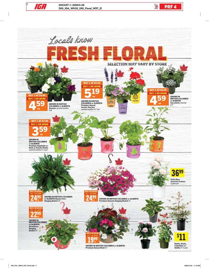 Flyer page 10