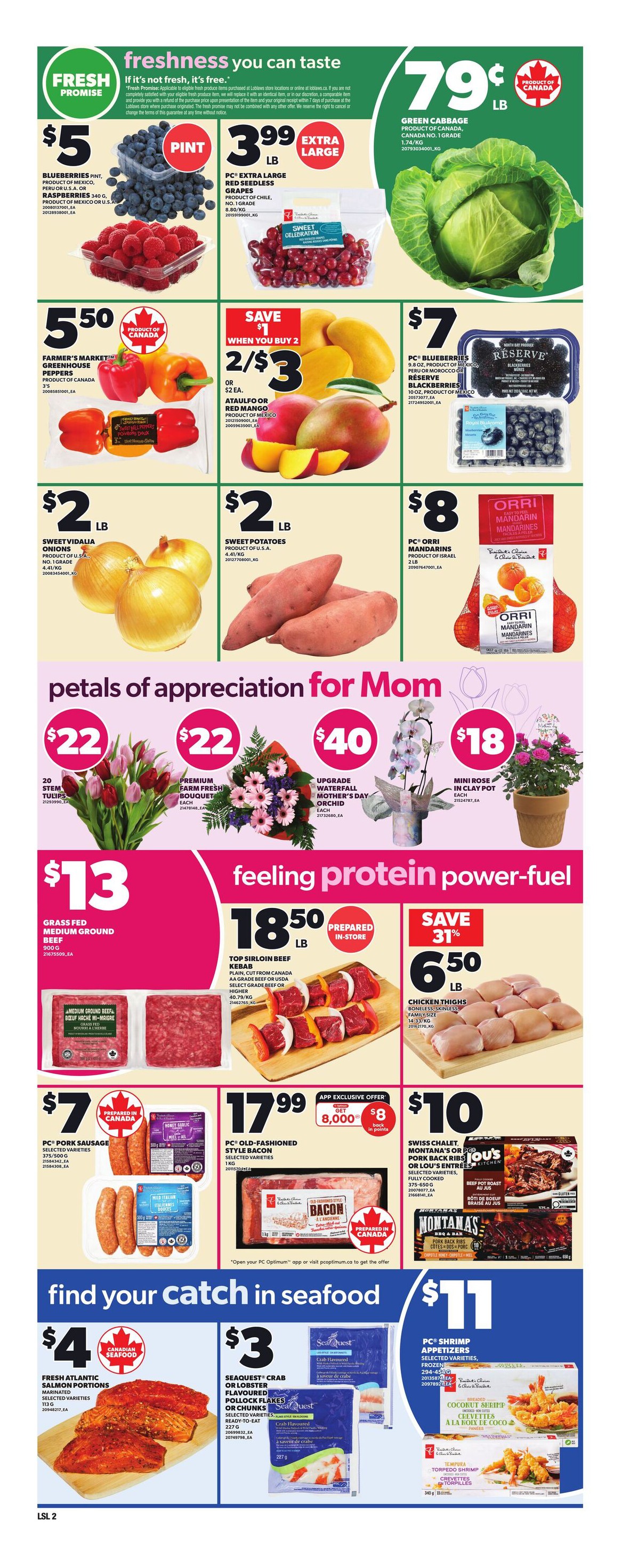 Flyer page 5