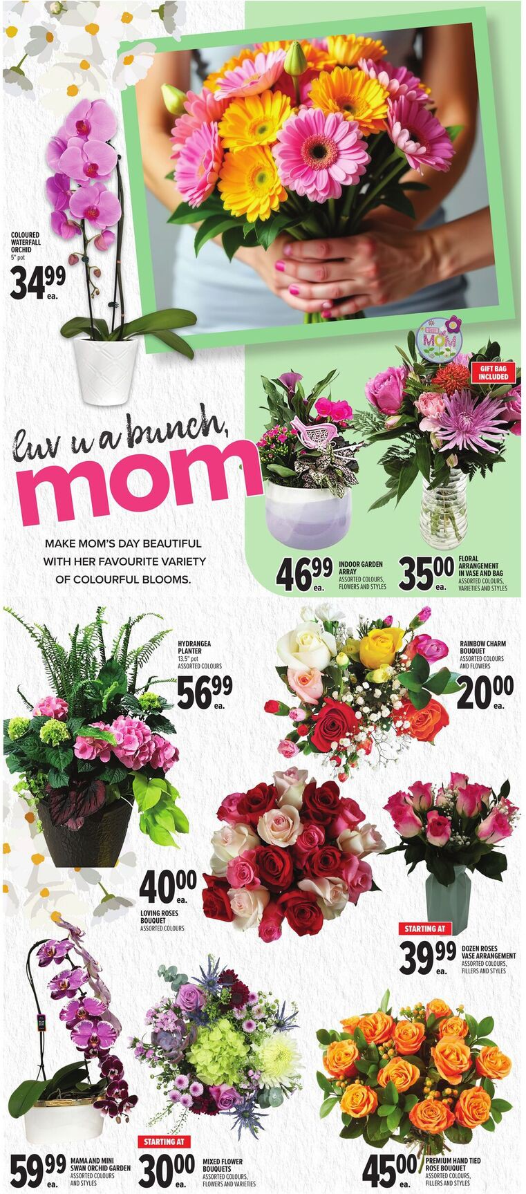 Flyer page 12
