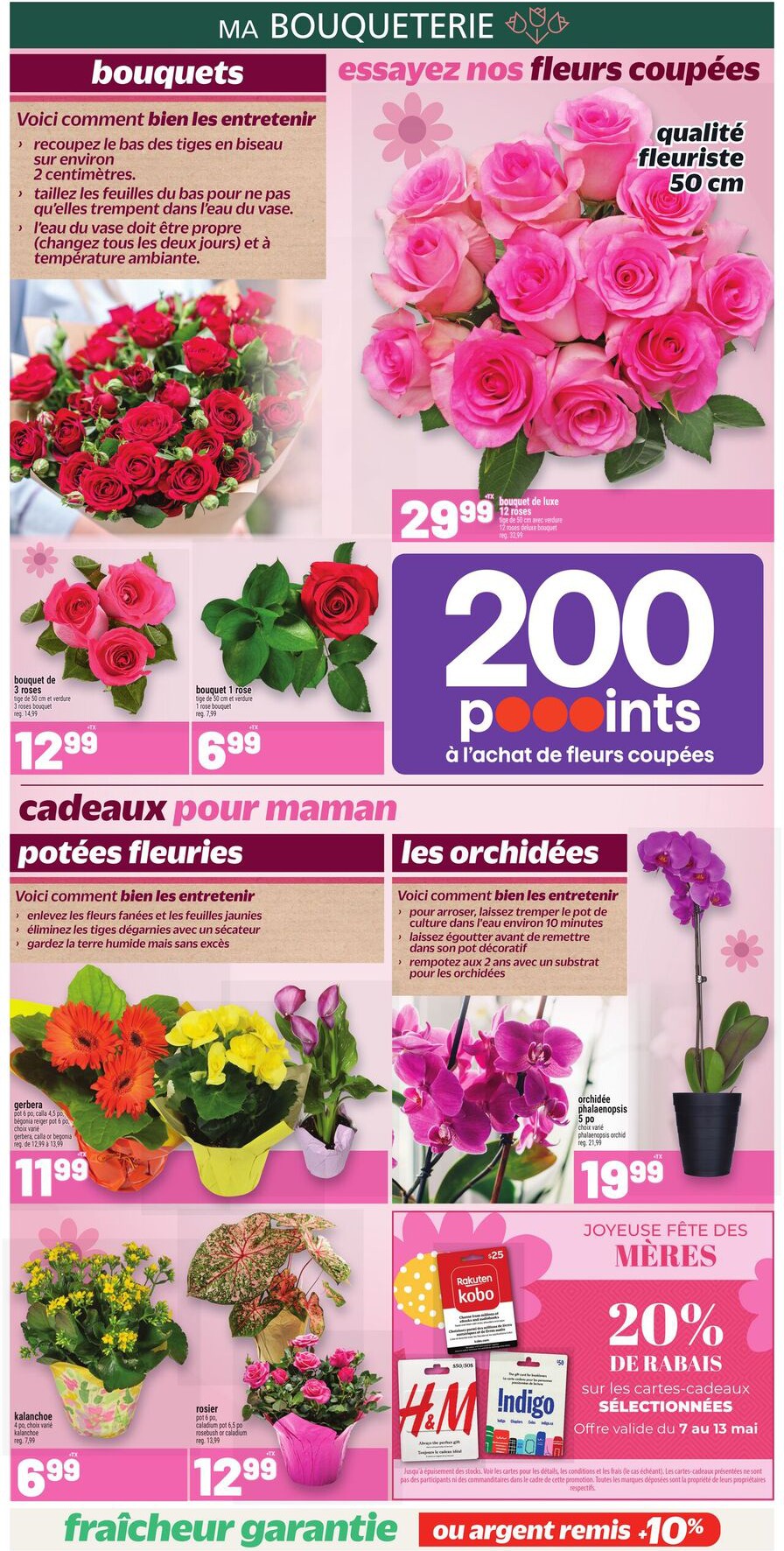 Flyer page 6