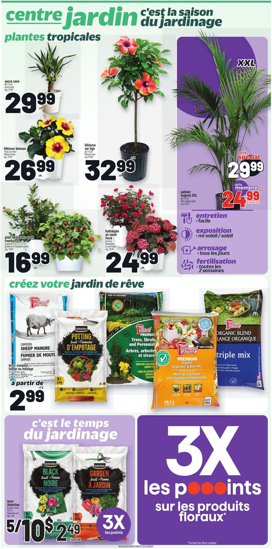 Flyer page 12