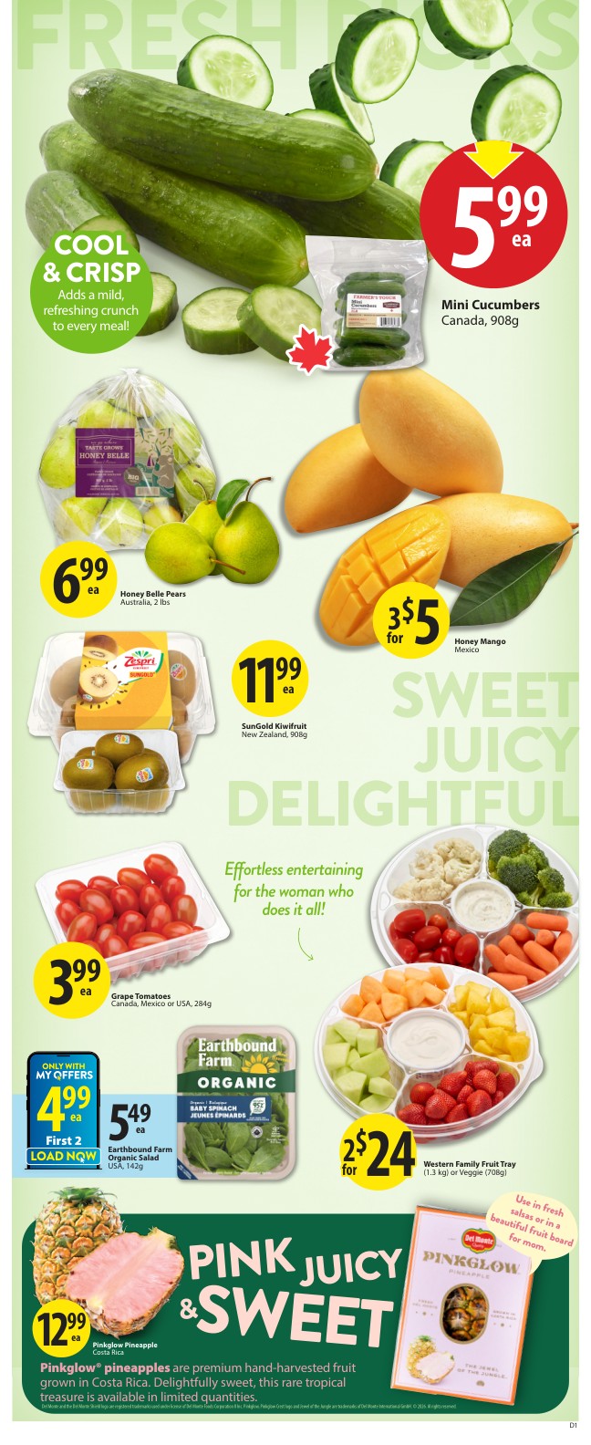 Flyer page 4