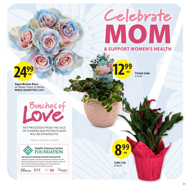 Flyer page 5