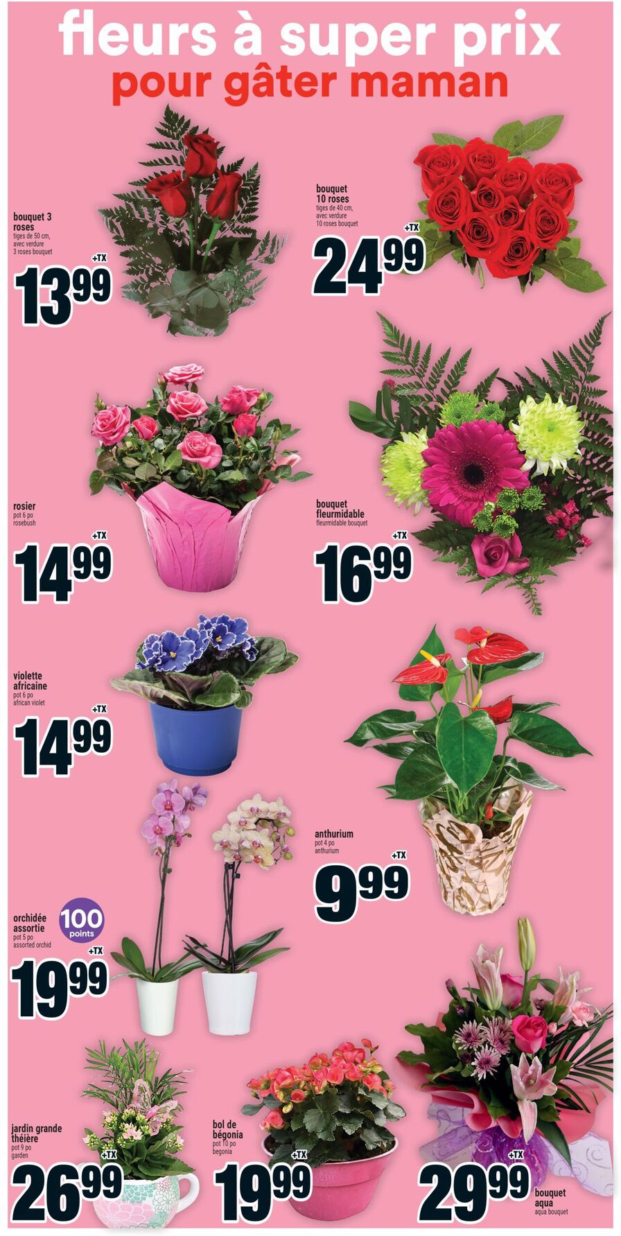Flyer page 15