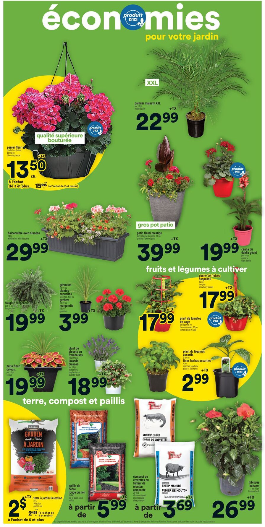 Flyer page 13