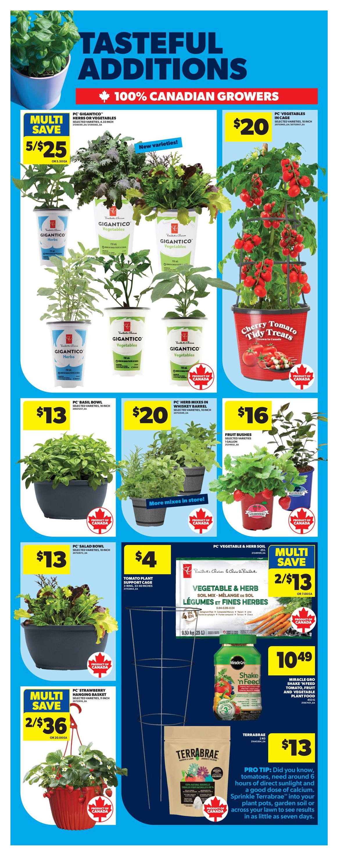 Flyer page 50