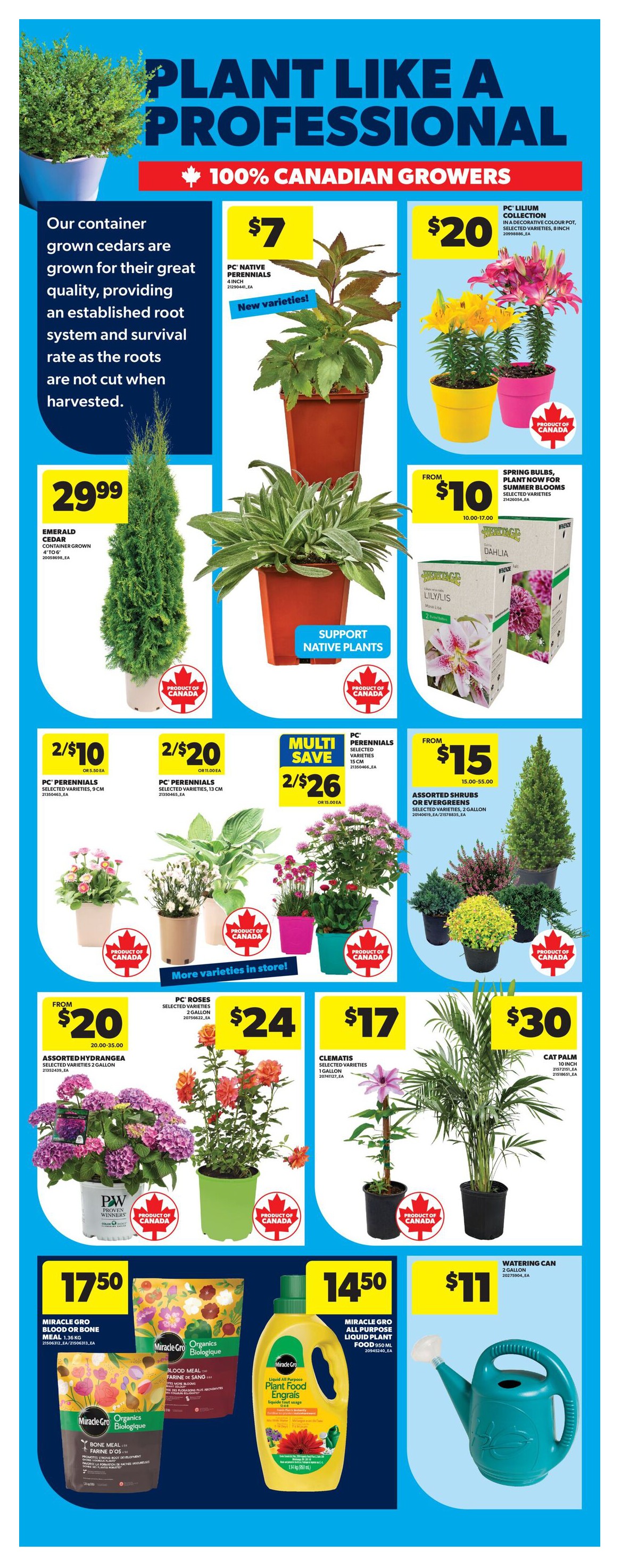 Flyer page 52