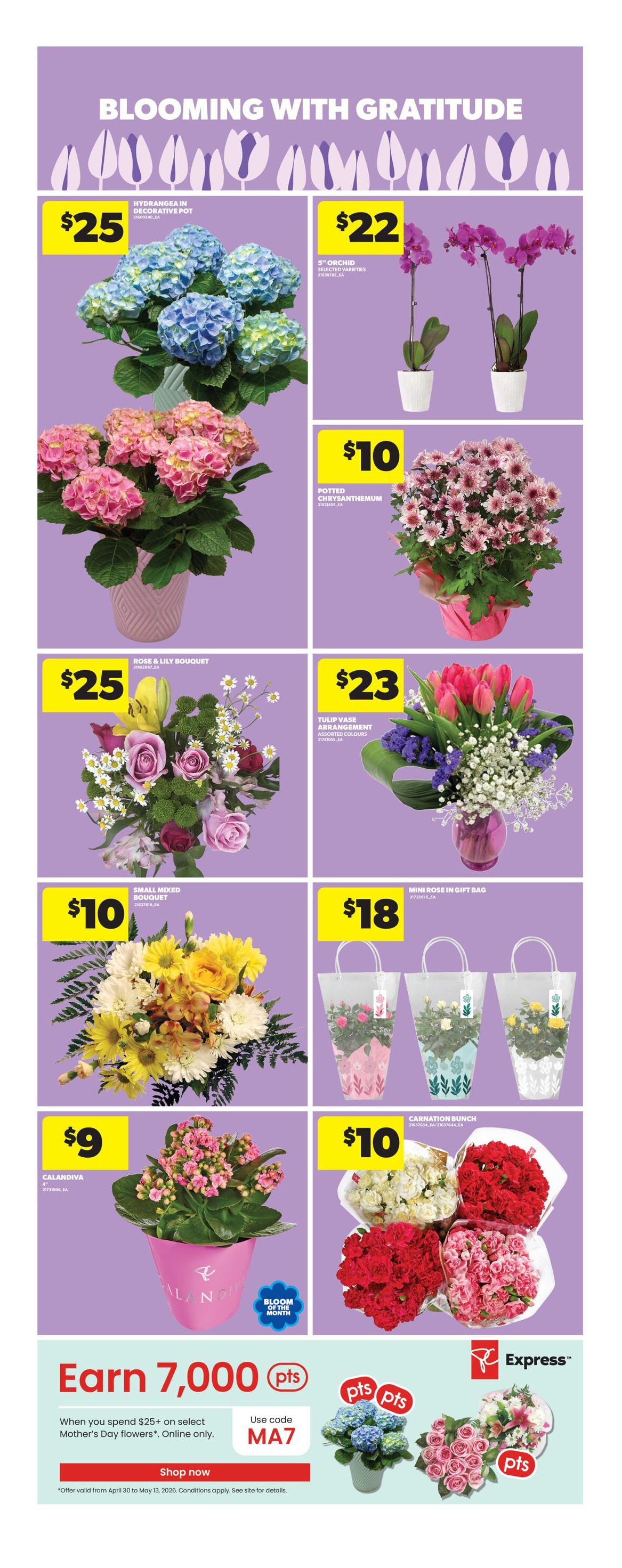 Flyer page 9