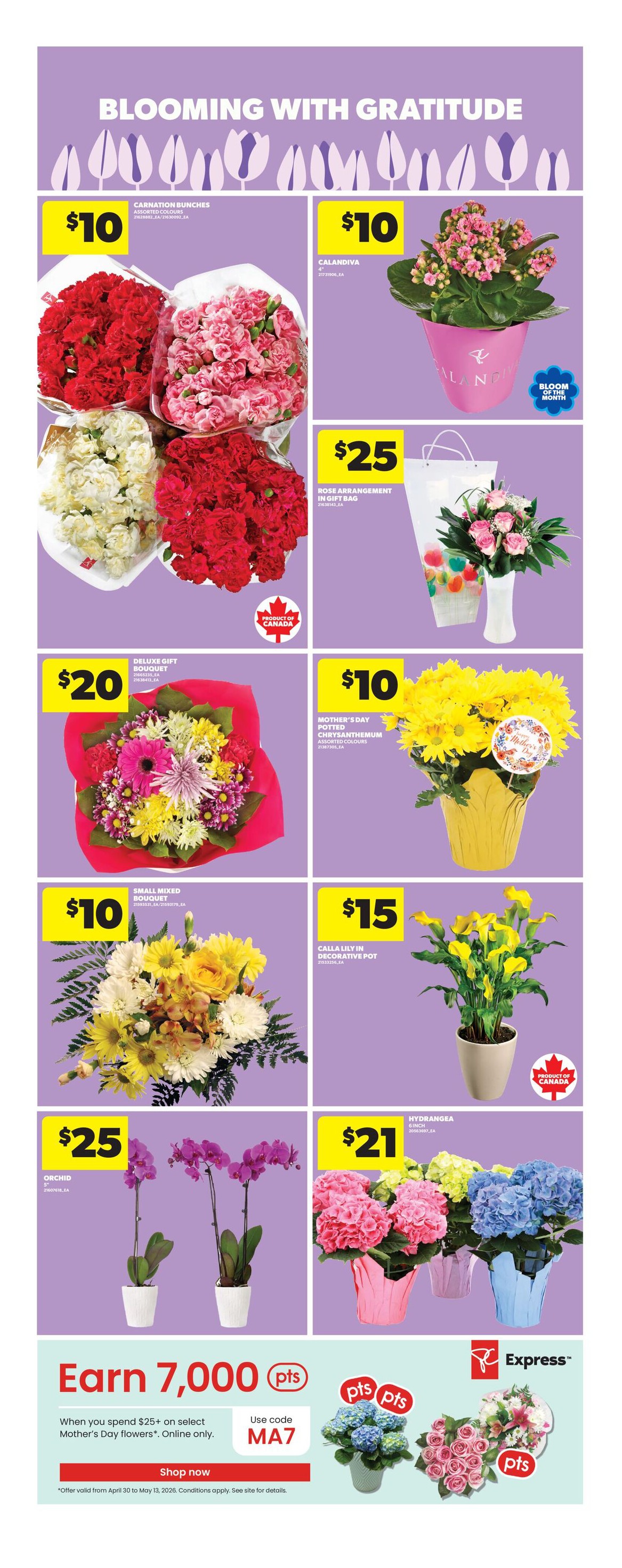 Flyer page 10