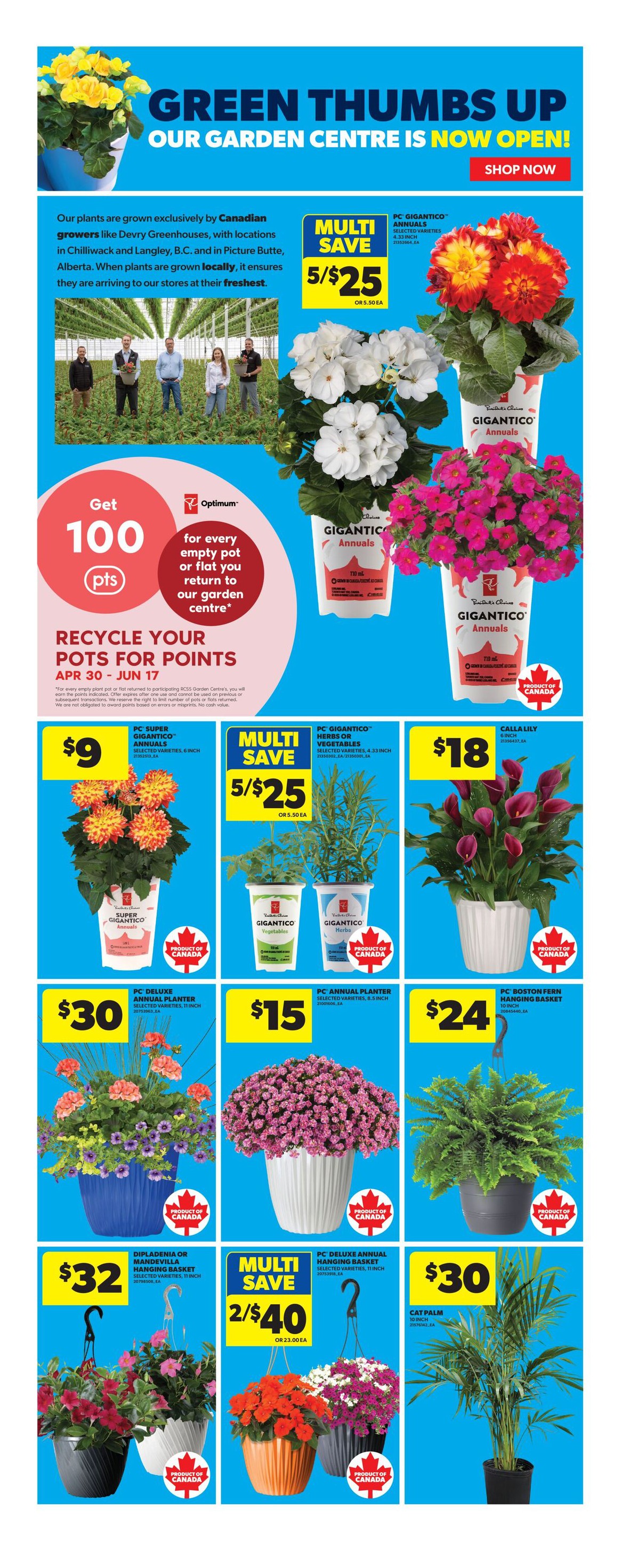 Flyer page 21