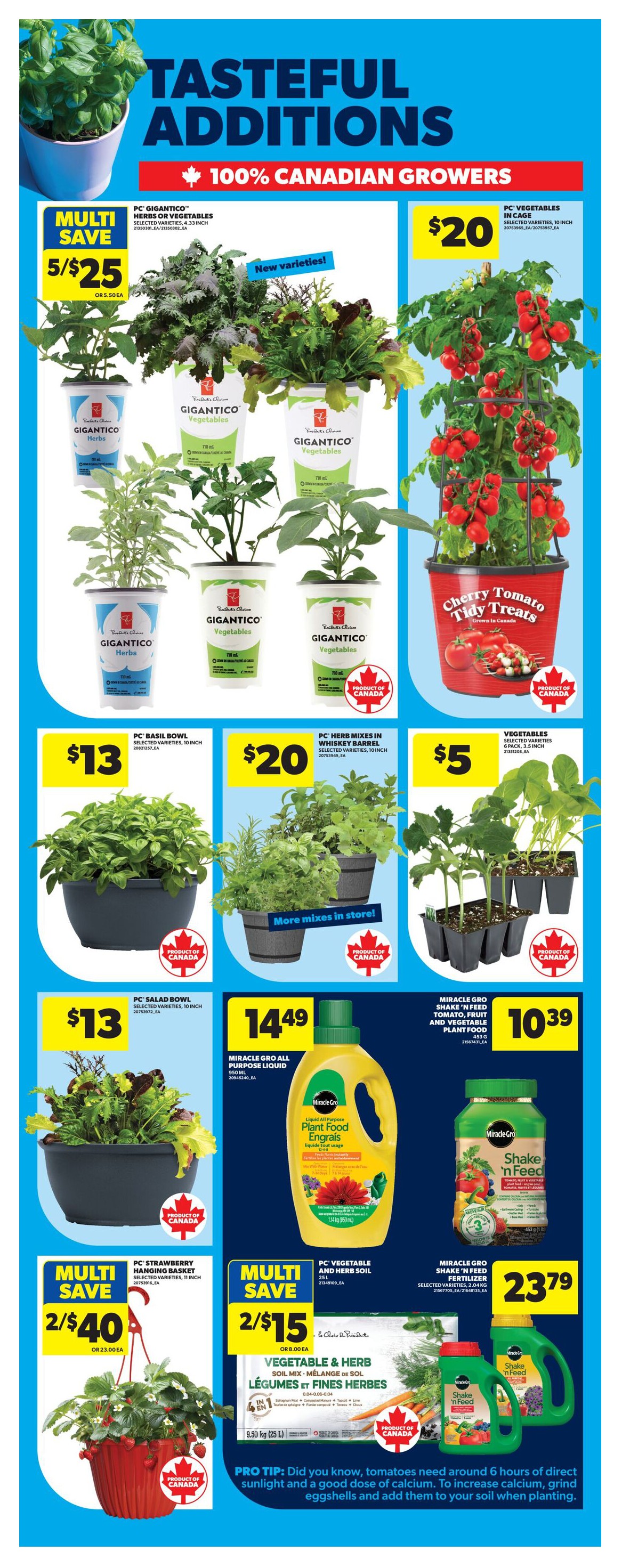 Flyer page 49