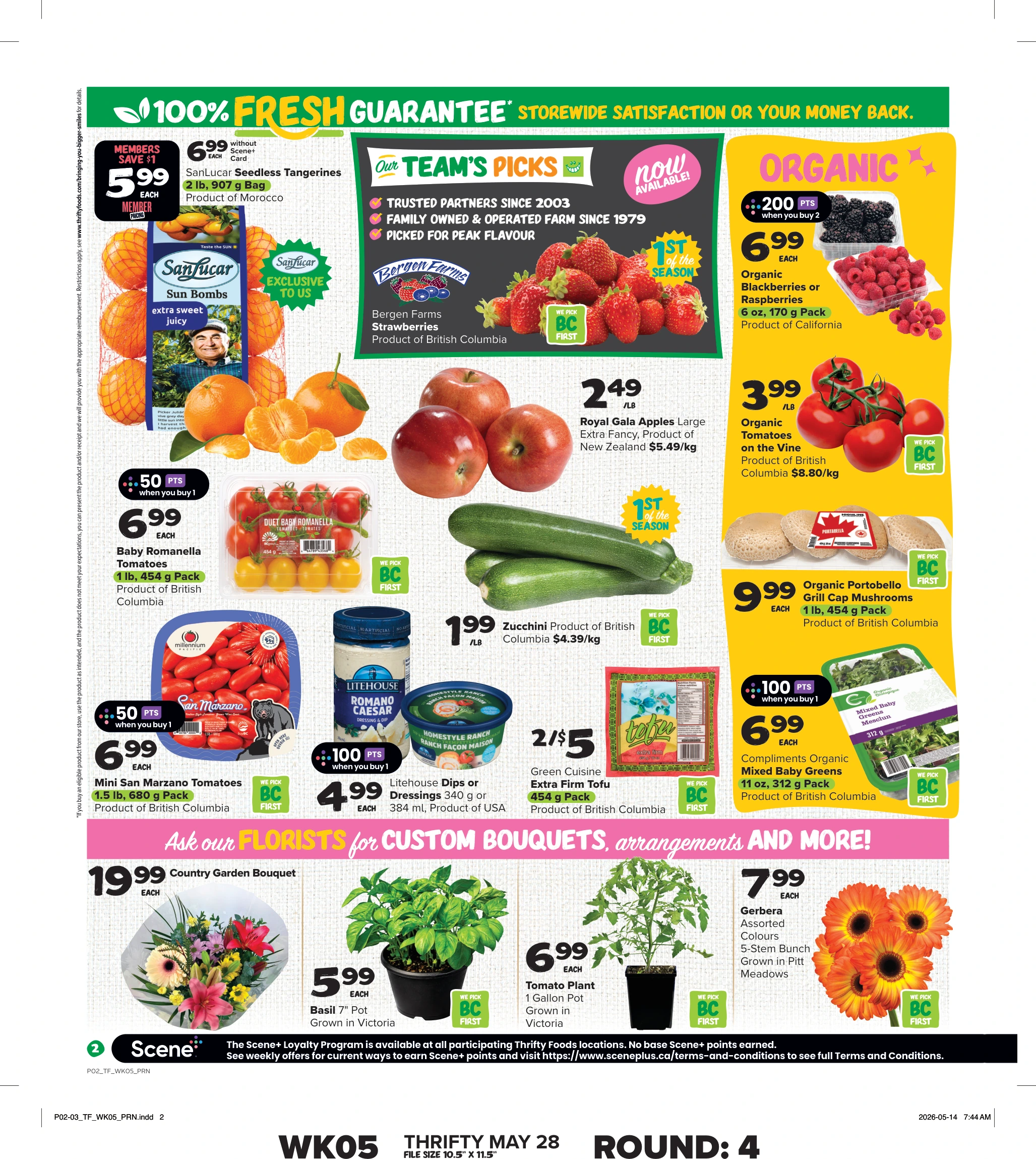 Flyer page 3